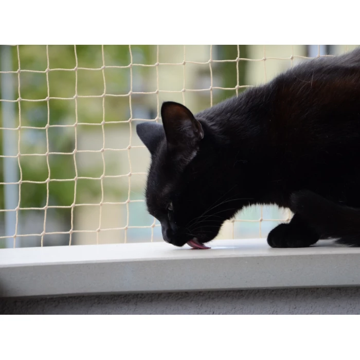 Zestaw siatka na balkon 4x2 dla kota bez wiercenia. Kocia siatka oczko 50x50mm. Bezpieczne Koty.