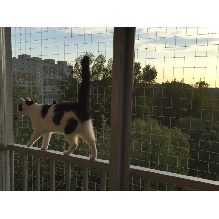 Zestaw siatka na balkon 6x2 dla kota bez wiercenia. Kocia siatka oczko 50x50mm. Bezpieczne Koty.