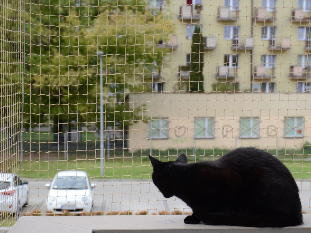 siatka na balkon 50mm na koty