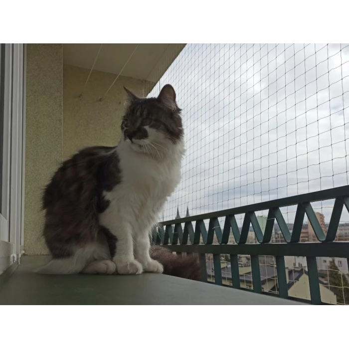 Siatka ochronna na balkon dla kota oczko 50x50mm Siatka przeciw ptakom 5 m x 3 m