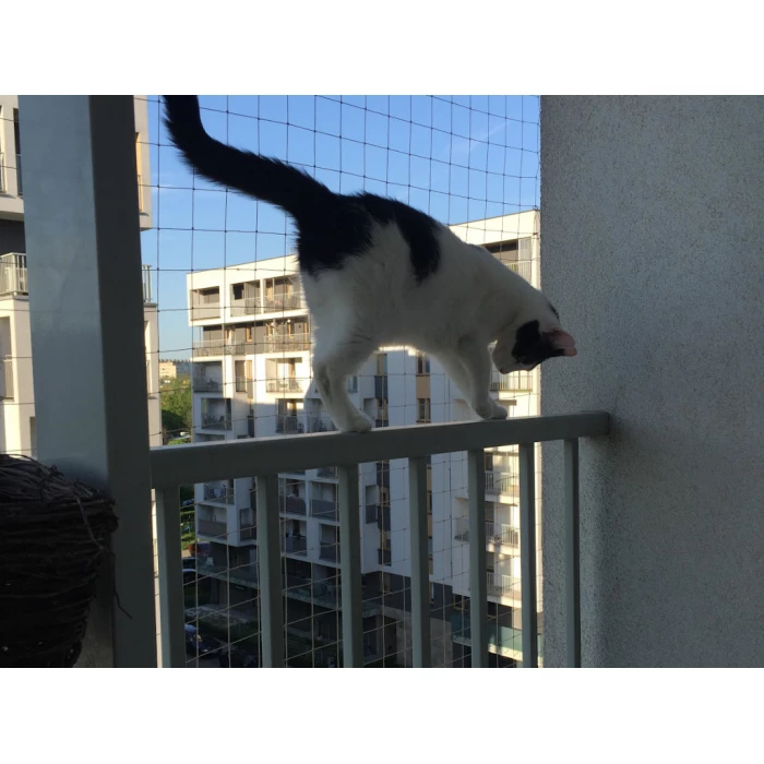 Siatka ochronna dla kota na balkon przeciw ptakom Oczka 28x28mm. Rolka 2m x 6m
